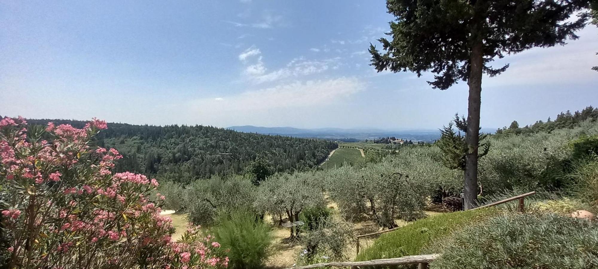 Borgo Nel Chianti Istrice Con Piscina Tennis E Wifi Castellina in Chianti Zewnętrze zdjęcie