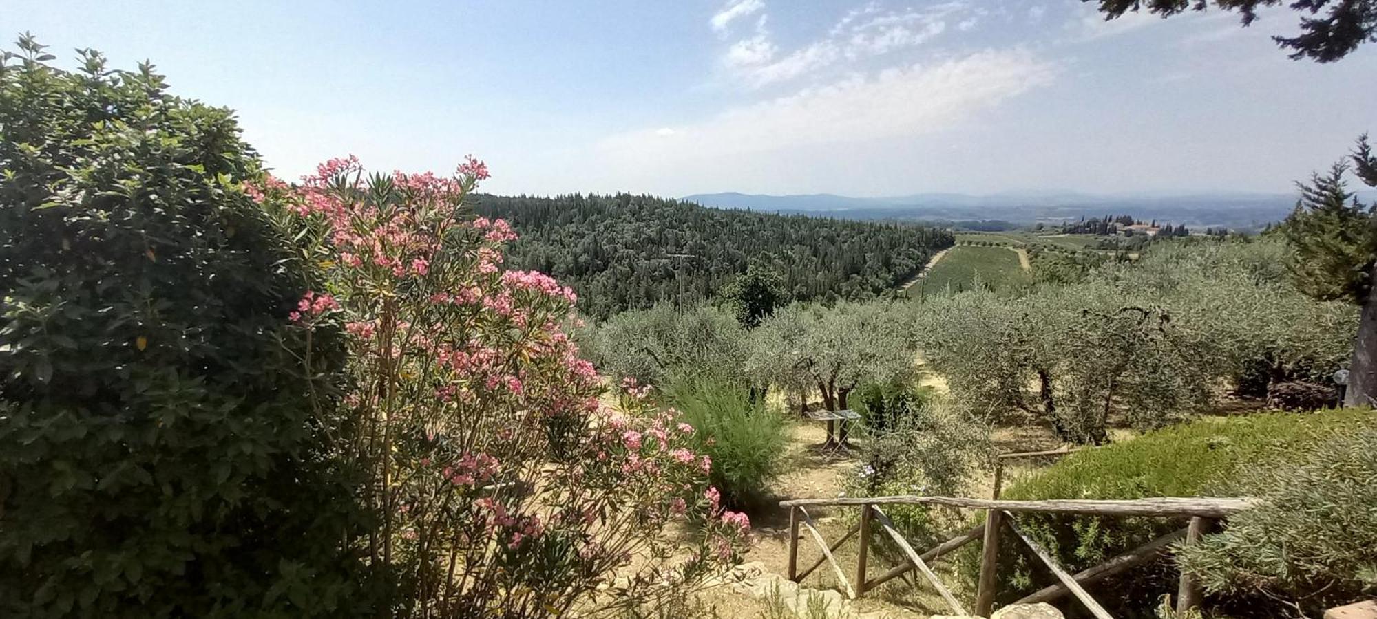 Borgo Nel Chianti Istrice Con Piscina Tennis E Wifi Castellina in Chianti Zewnętrze zdjęcie